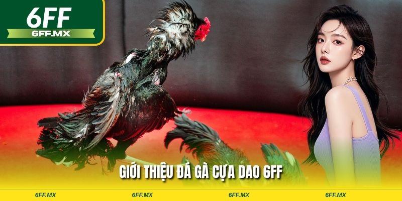 Đá Gà Cựa Dao 6FF - Đấu Trường Kịch Tính & Kinh Nghiệm Soi Kèo Bất Bại 1 Đá gà cựa dao tại 6FF là hình thức thi đấu mà mỗi chiến kê được trang bị một chiếc cựa bằng sắt hoặc thép sắc lẹm, uốn cong như hình mũi dao vào chân.