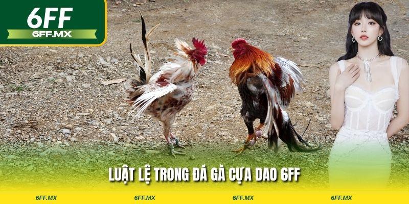 Đá Gà Cựa Dao 6FF - Đấu Trường Kịch Tính & Kinh Nghiệm Soi Kèo Bất Bại 2 Luật lệ trong đá gà cựa dao 6FF